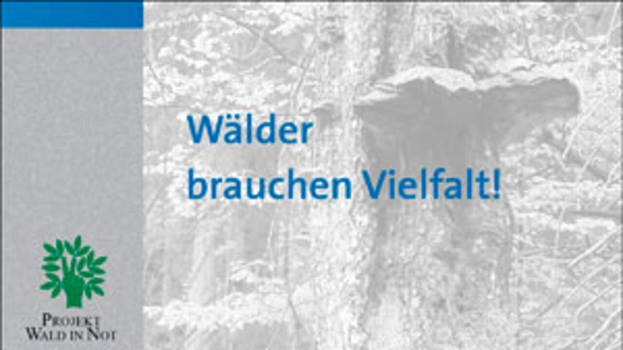 Informationsbroschüre