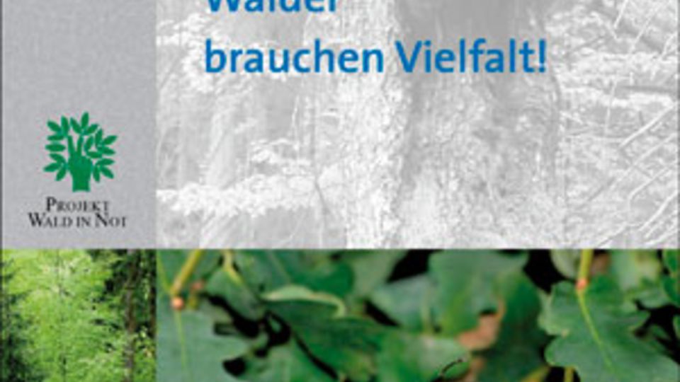 Informationsbroschüre