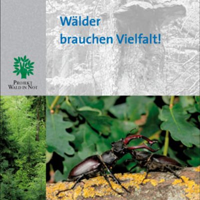 Informationsbroschüre