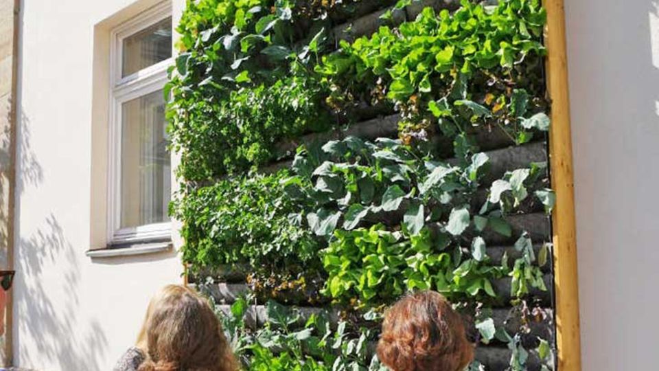 Living Wall Systeme