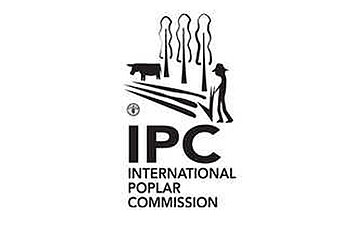 IPC Logo