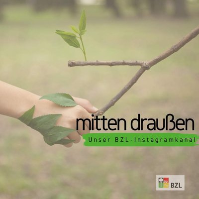 Titelbild