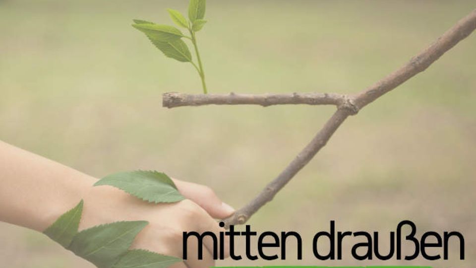 Titelbild