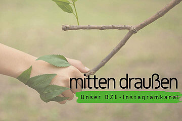 Titelbild
