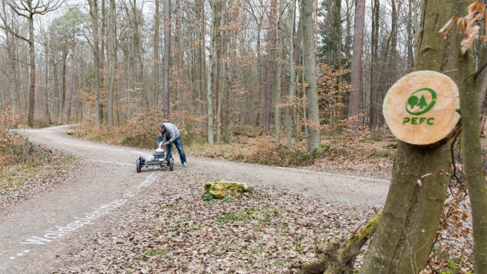 Tag des Waldes