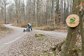Tag des Waldes
