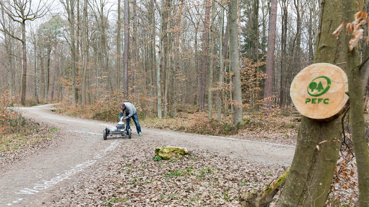 Tag des Waldes