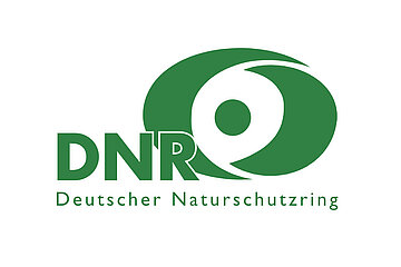 DNR Logo