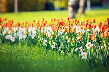 Flower Your Place