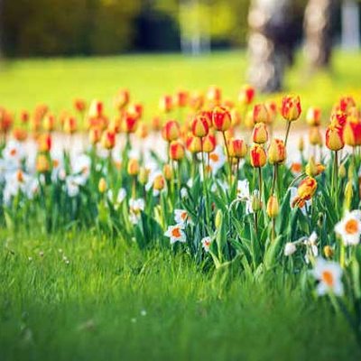 Flower Your Place