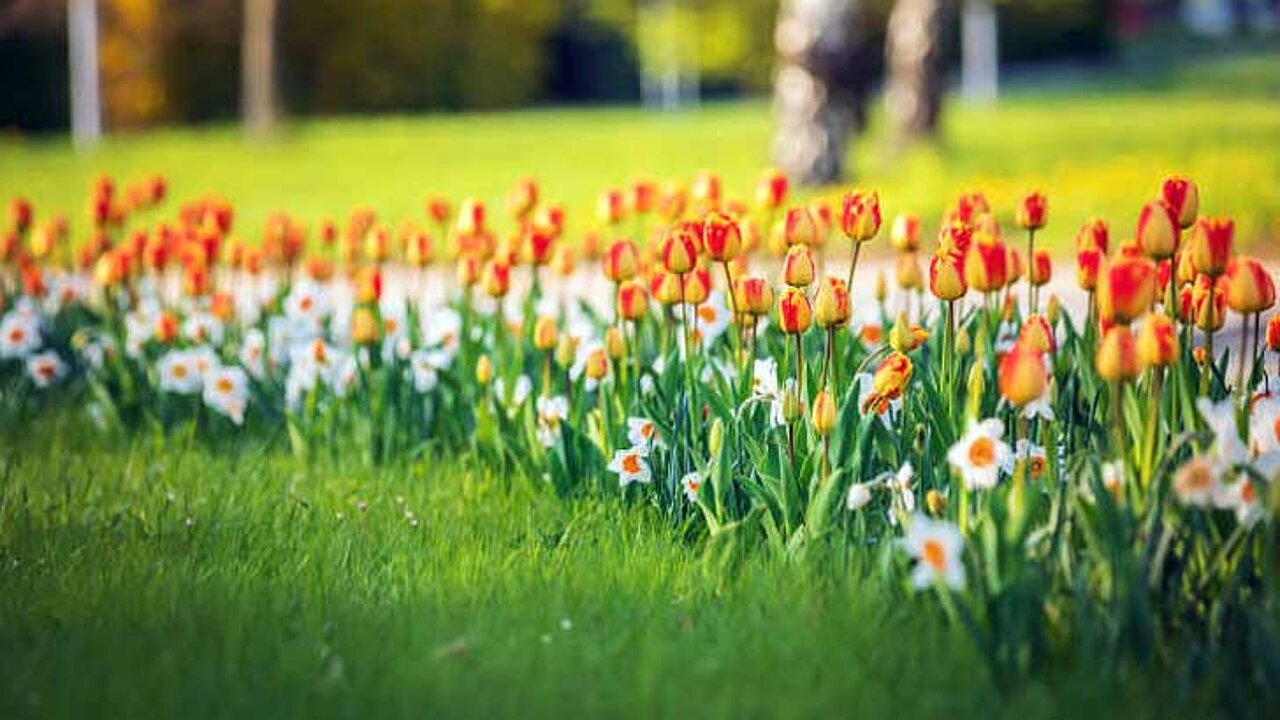 Flower Your Place