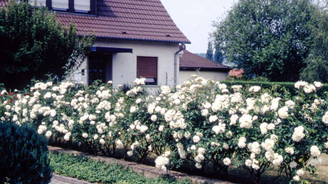 image-18862