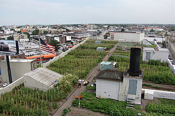 Gemüsefarm in New York