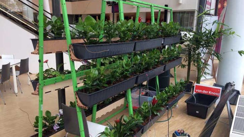 Ideen der Plantarium