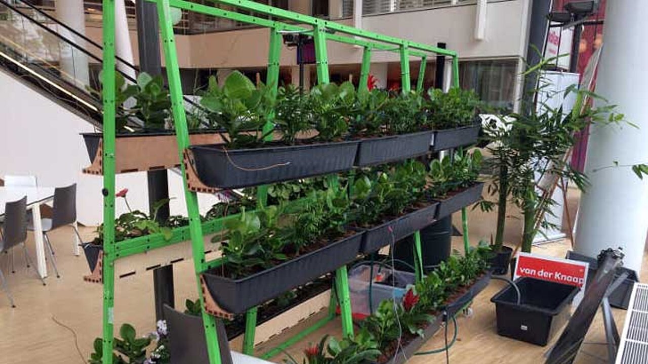 Ideen der Plantarium