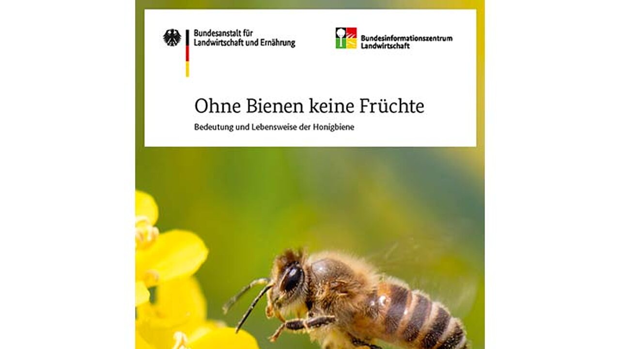 Informationsheft