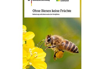 Informationsheft