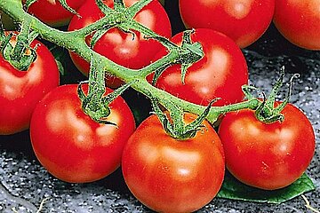 Tomaten