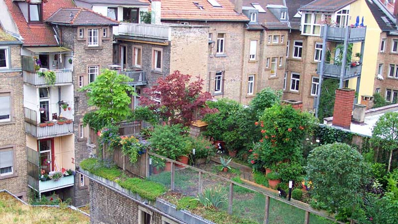 Dachgarten