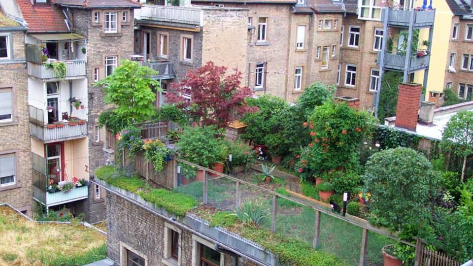 Dachgarten