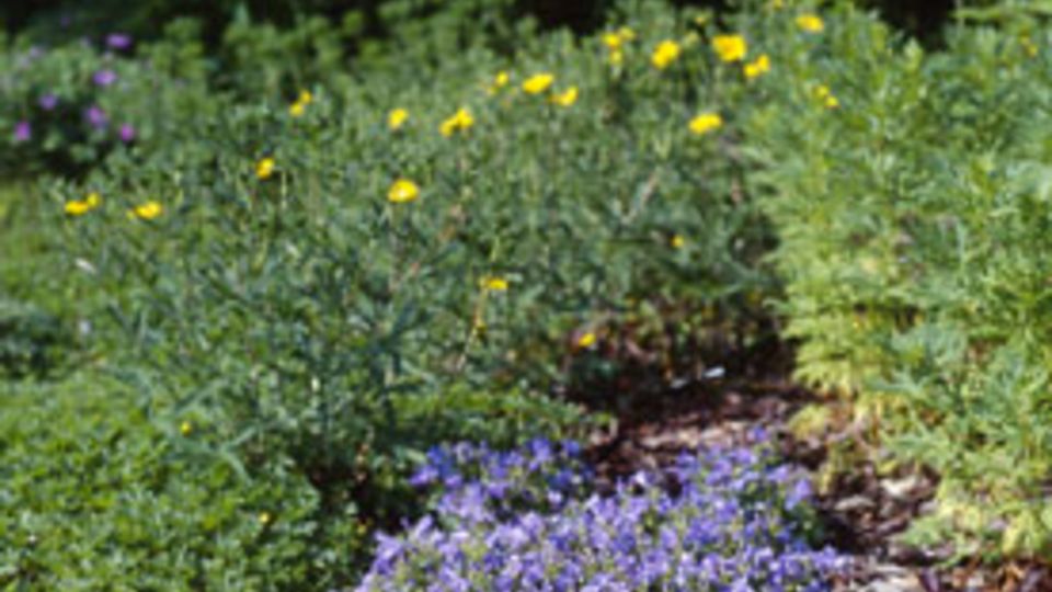 Rinde als Mulchmaterial