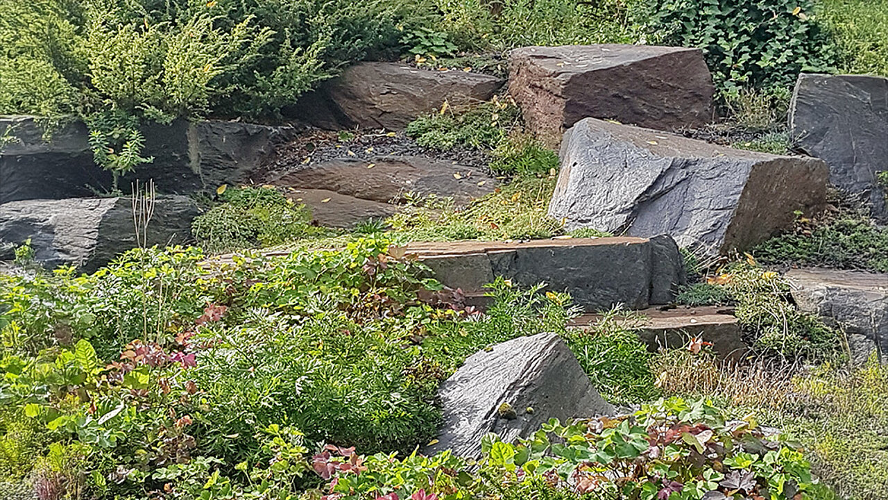 Lebendiger Steingarten