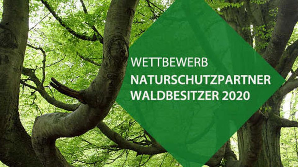 Naturschutzpartner Waldbesitzer