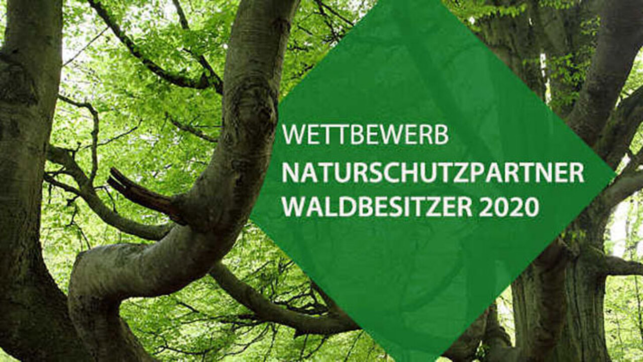 Naturschutzpartner Waldbesitzer