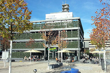 Image-16411