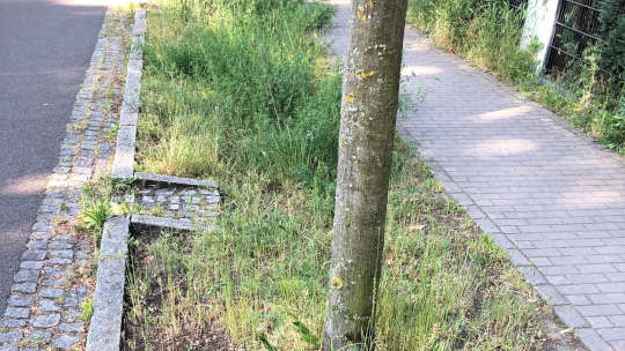 Oberflächenentwässerung