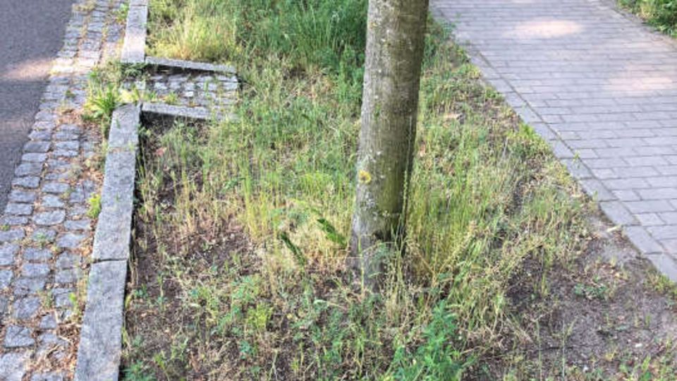 Oberflächenentwässerung