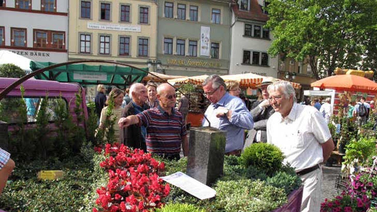 Präsentationen auf Blumen- und Gartenmärkten