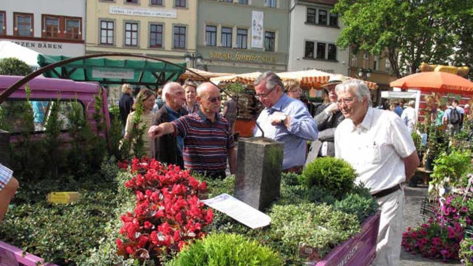 Präsentationen auf Blumen- und Gartenmärkten