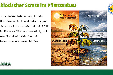PHOTON CMM Dünger gegen Stress