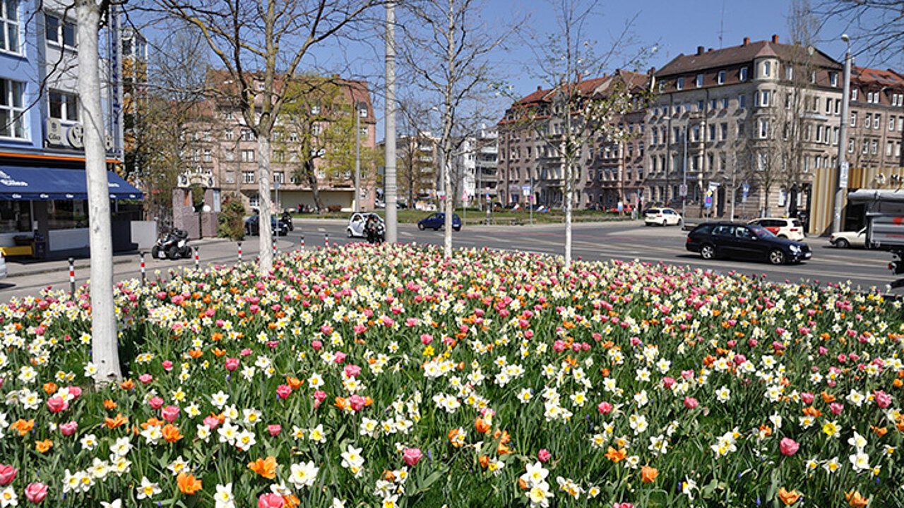 verkehrsbegleitende Begrünung