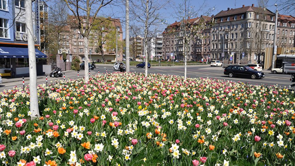 verkehrsbegleitende Begrünung