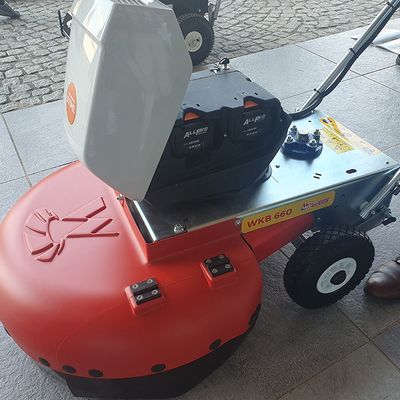Westermann Wildkrautbürsten mit ALLPRO-Akku