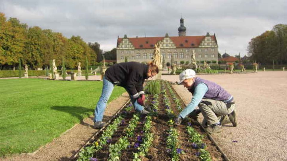 Schlossgarten