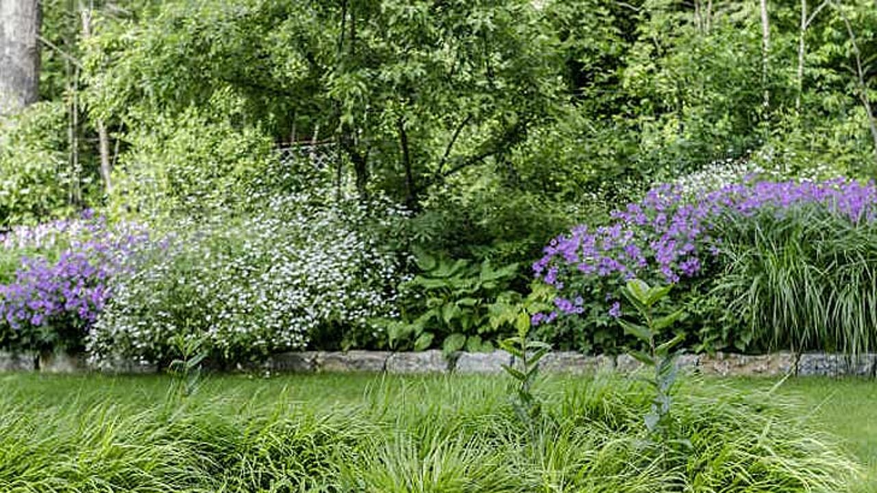 Gartenszene