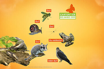 Gartentierwahl 2025