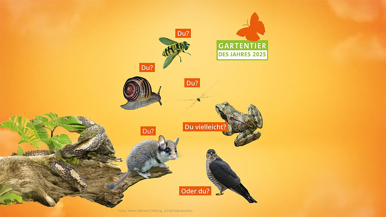 Gartentierwahl 2025