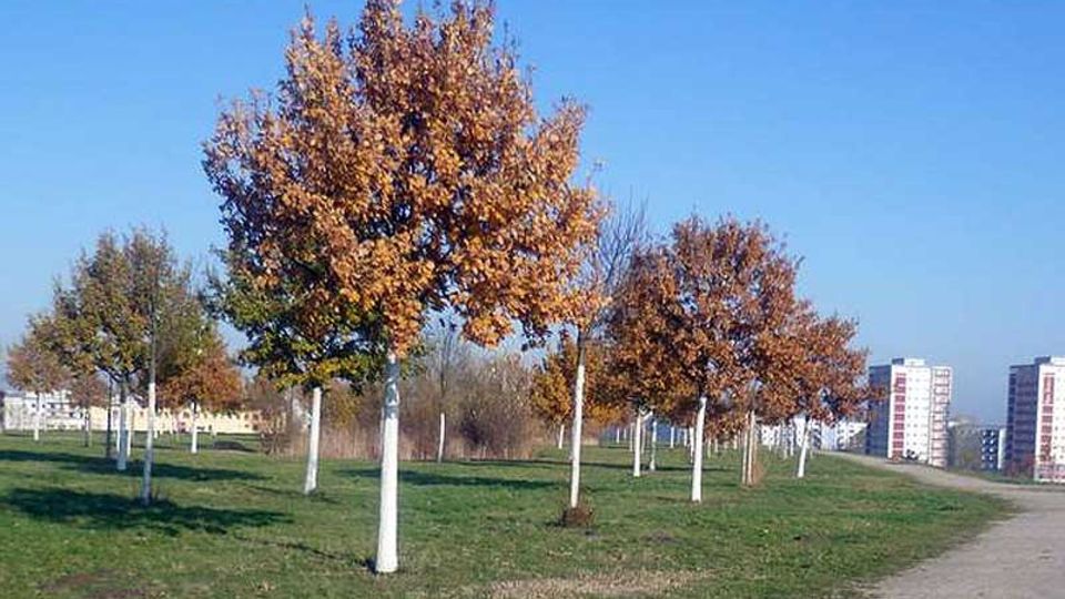 Jelena-Šantić-Friedenspark