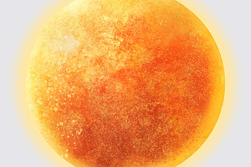 Image-16538