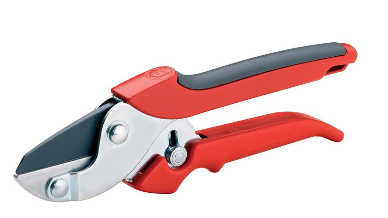 Wolf Amboss-Schere RS 22