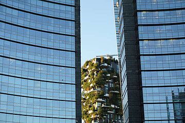 Image-14879