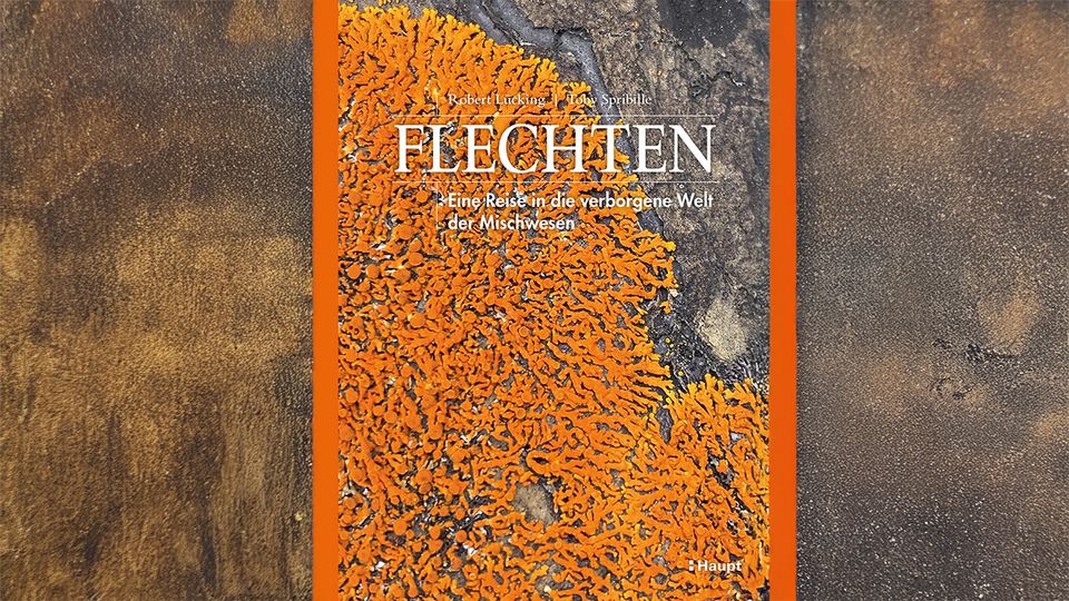 Buch Flechten