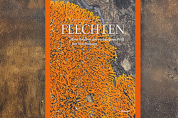 Buch Flechten