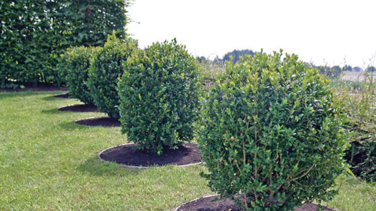 terra-S Pflanzringe