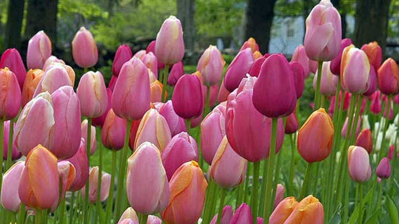 image-6835