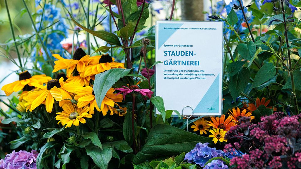 Zukunftstag Gartenschau